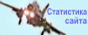 Статистика посещений